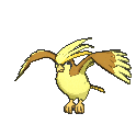 pidgeot.gif?refresh=900&resize_h=NaN&res