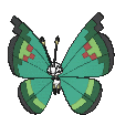 vivillon-garden.gif?refresh=900&resize_h
