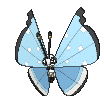 vivillon-tundra.gif?refresh=900&resize_h