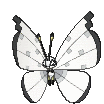 vivillon.gif?refresh=900&resize_h=NaN&re