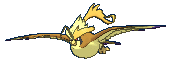 pidgeot-mega.gif