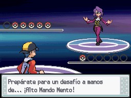 Mi Equipo de la Liga Pokémon Johto