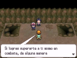 equipo de tipo SINIESTRO vs LIGA POKEMON - #pokemon negro 2 