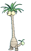 Exeggutor pokémon Exeggutor pokémon