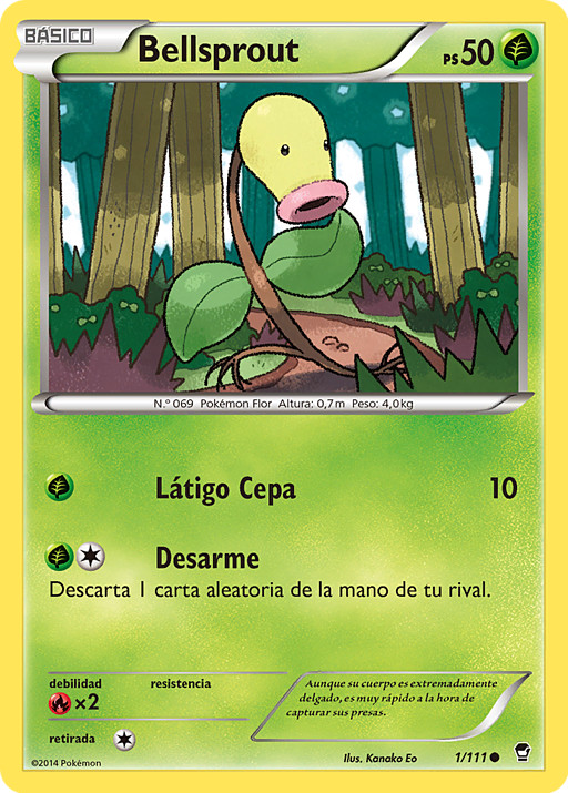 Callejeros Pokémon on X: Bellsprout, Weepinbell y Victreebel se inspiran  en unas plantas carnívoras conocidas como Plantas jarro.   / X